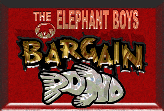 Elephant Boys Bargain Spokane Valley WA